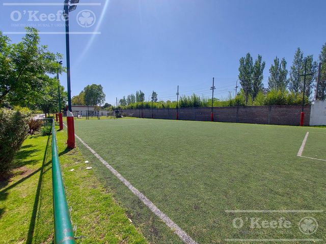 place photo 17