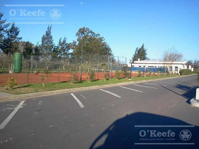 place photo 21