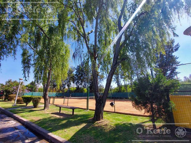 place photo 11