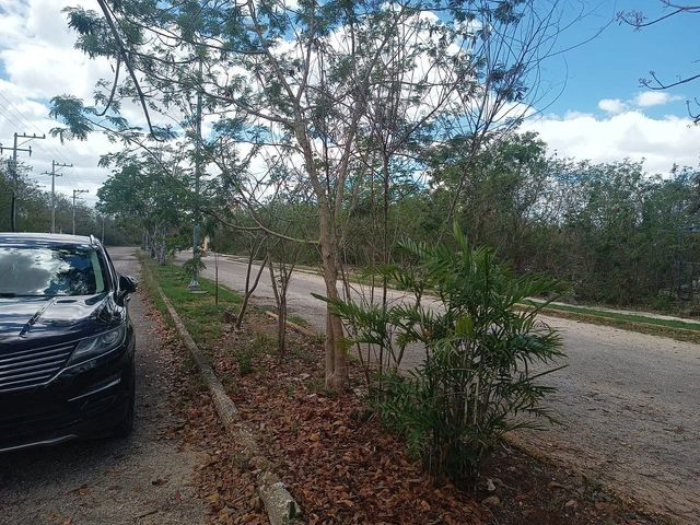 place photo 9