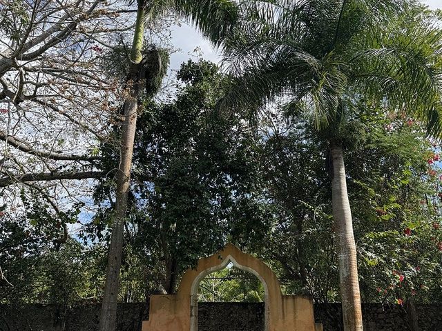 place photo 41