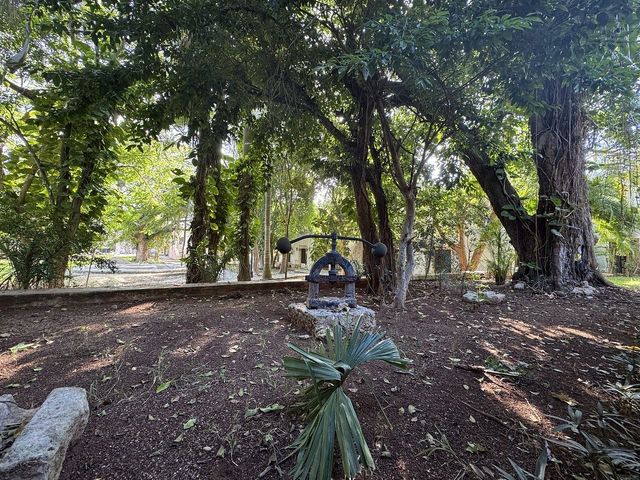 place photo 39