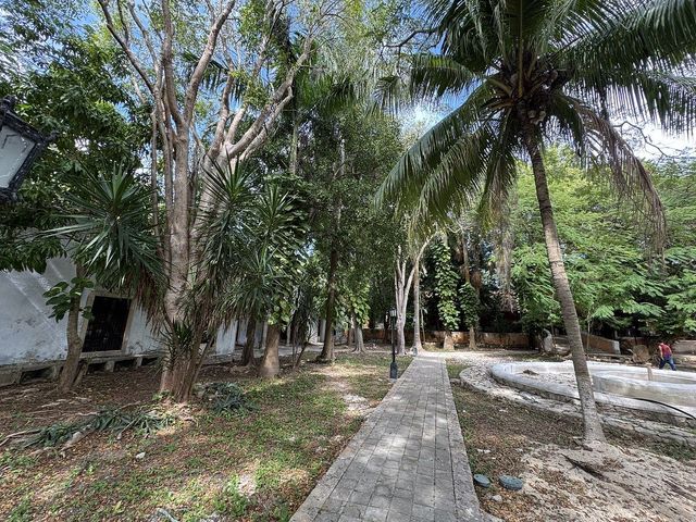 place photo 20