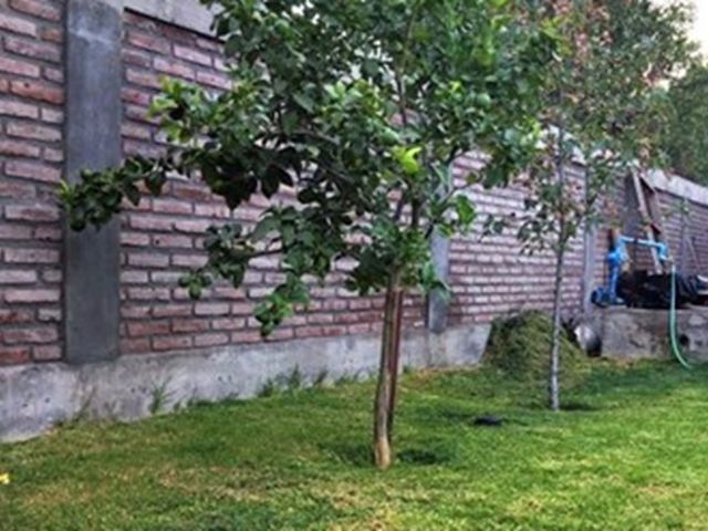 place photo 19