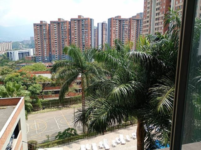 place photo 22