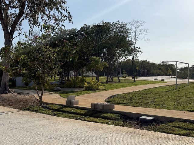 place photo 15