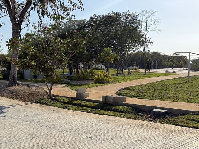 place photo 11