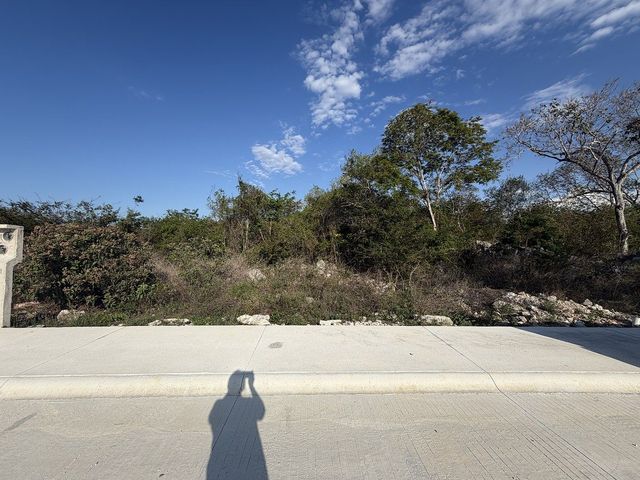 place photo 16