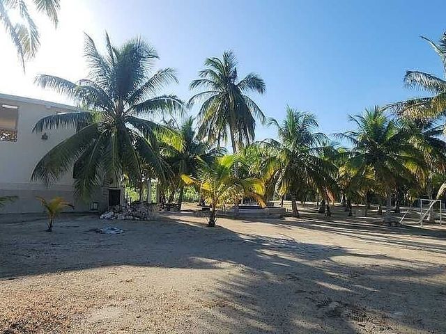 place photo 19