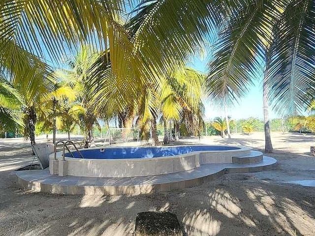 place photo 13