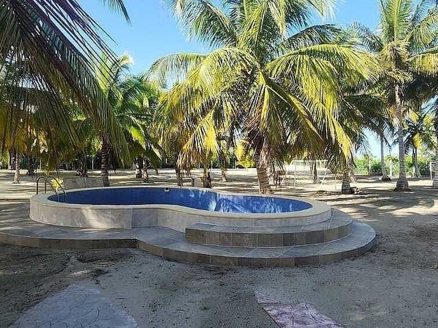 place photo 18