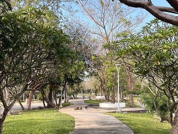 place photo 45