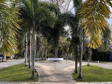 place photo 46
