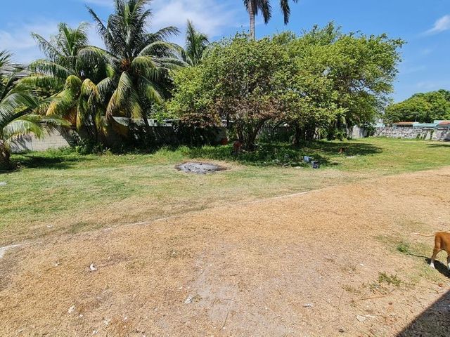 place photo 21