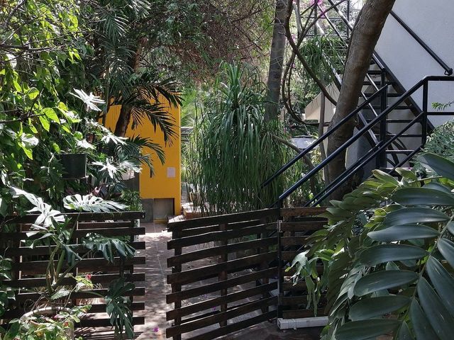 place photo 30