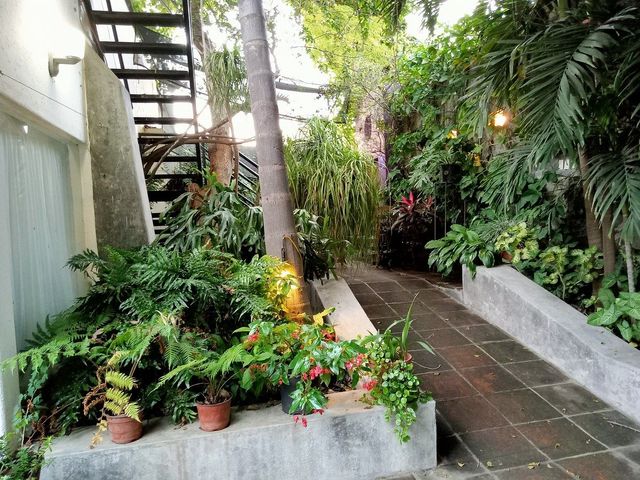 place photo 29