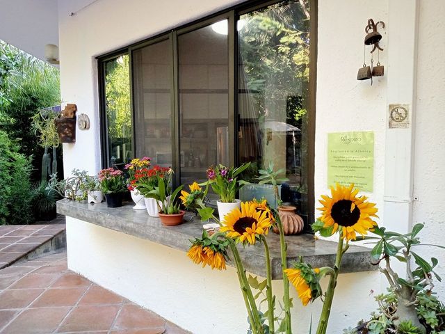 place photo 27
