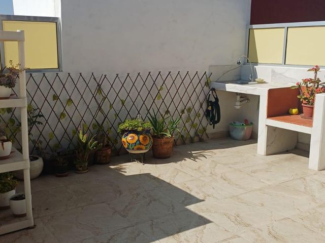 place photo 27