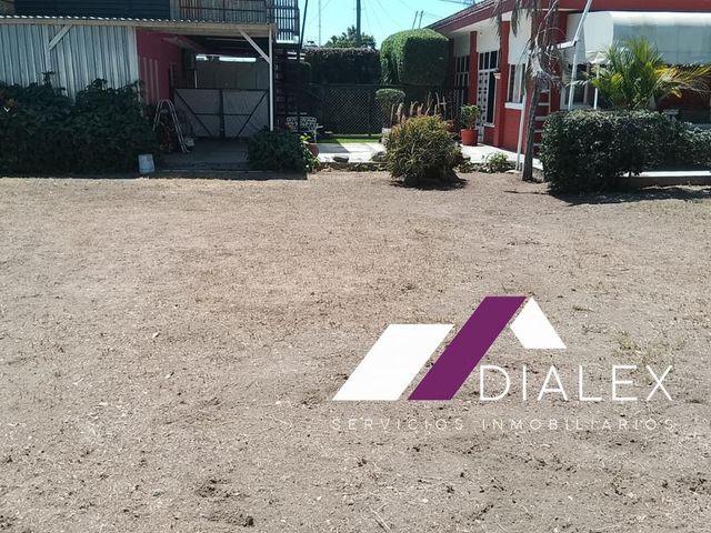 place photo 4