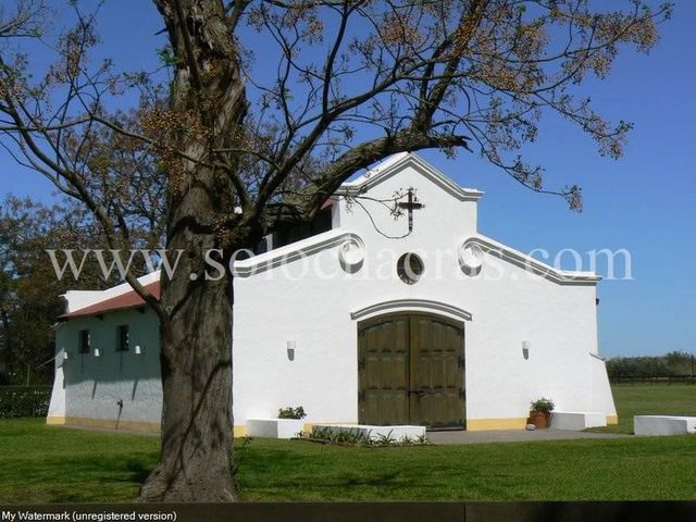 place photo 48