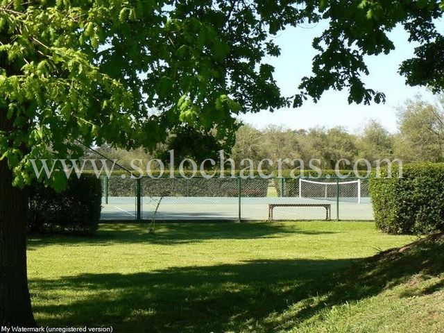 place photo 45