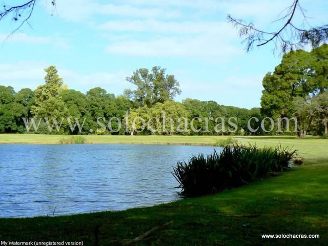 place photo 43