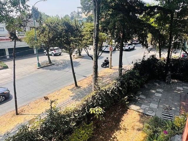 place photo 23
