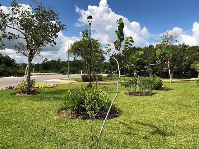 place photo 42