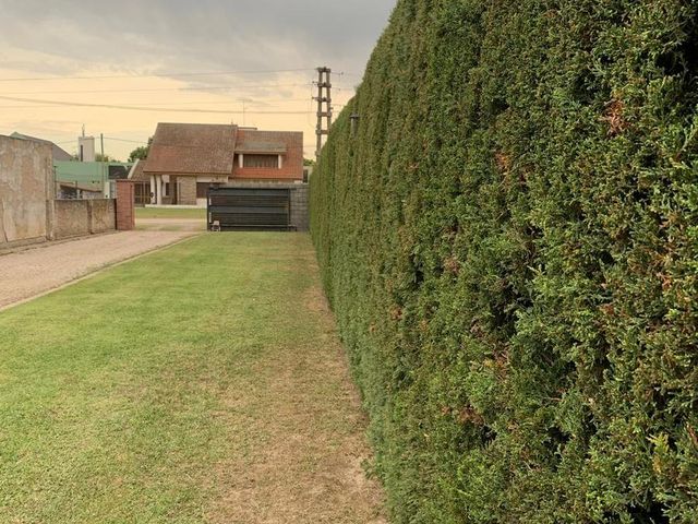 place photo 25