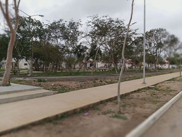 place photo 14