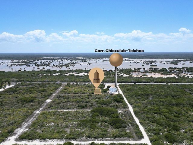 place photo 14