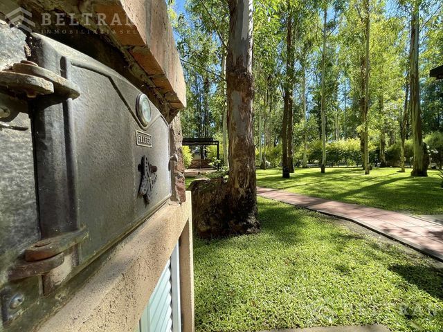 place photo 41