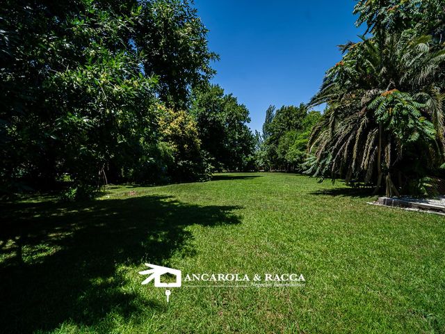 place photo 37