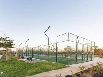 place photo 41
