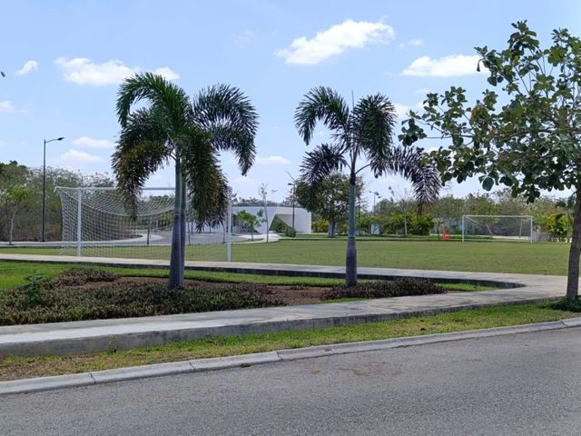 place photo 16