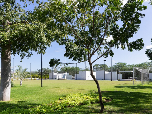 place photo 17