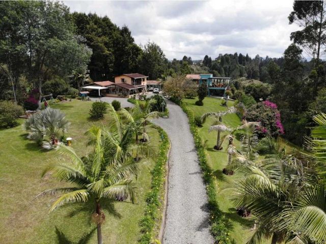 place photo 42