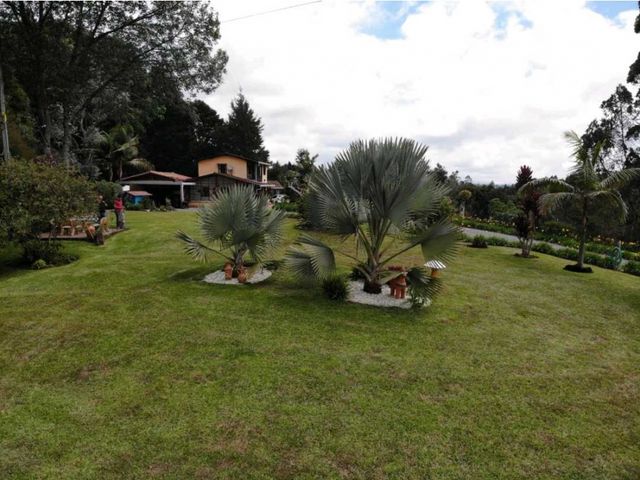 place photo 46