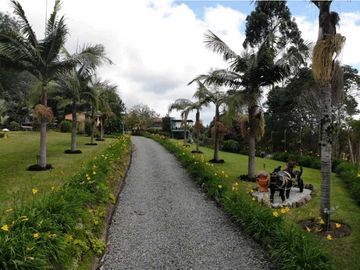 place photo 45