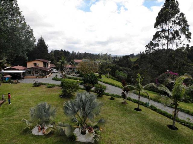 place photo 44