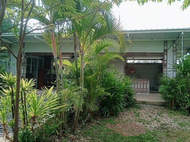 place photo 61