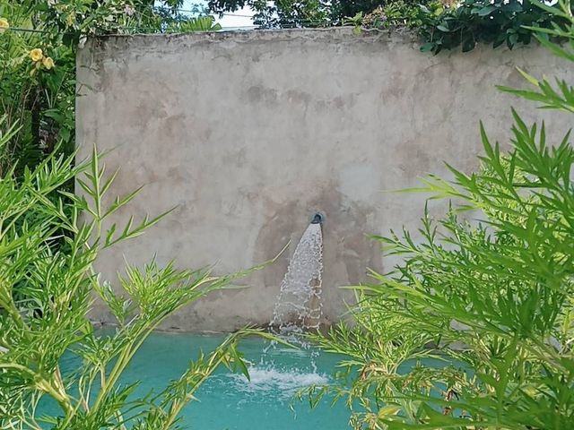place photo 57