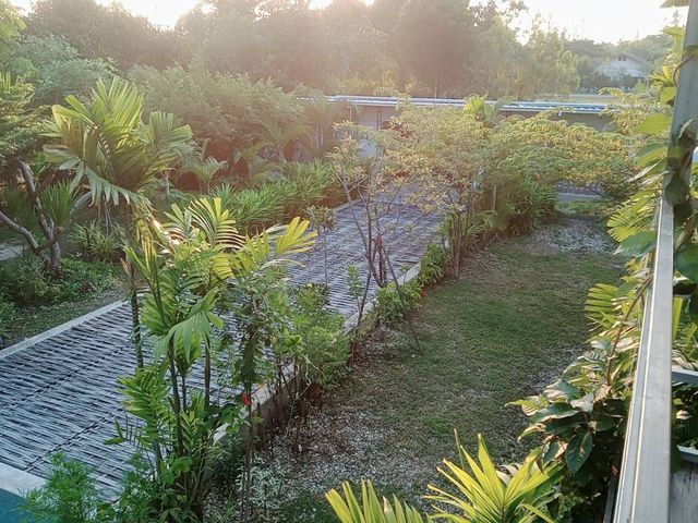 place photo 72