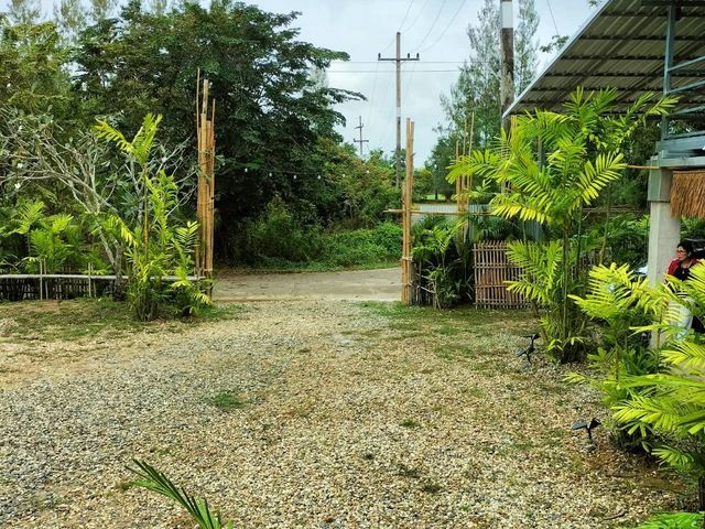place photo 46