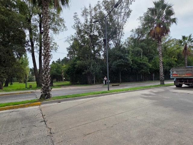 place photo 31
