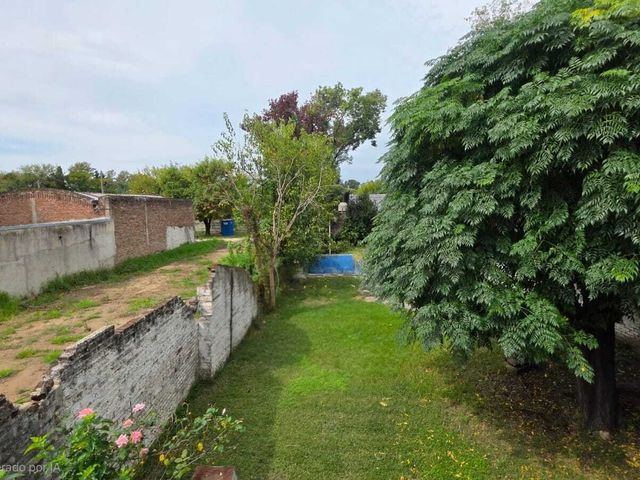 place photo 29