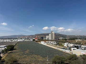place photo 40