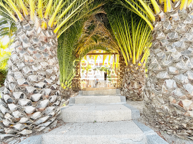 place photo 37