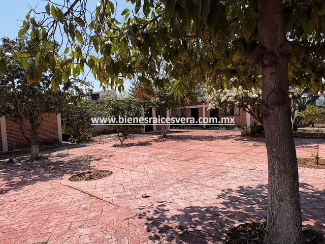 place photo 36