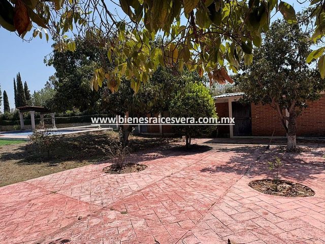 place photo 37